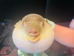 -永安鱼庄·镇江菜(东吴路店)