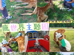-北京鹿世界主题园