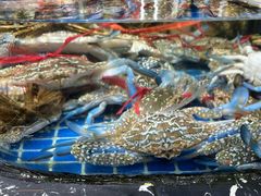 -舟山海鲜·江浙菜(银沙路店)