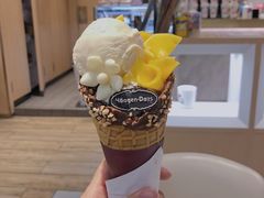 -哈根达斯(西安北郊店)