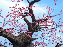 -南宁花花大世界景区