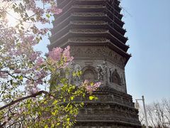 -玲珑塔公园