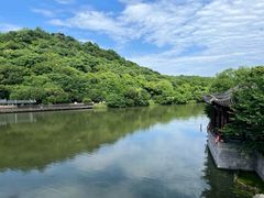 -绍兴镜湖国家城市湿地公园
