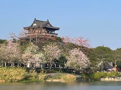 -海珠湖公园