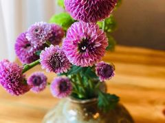 -云里小坐·小院里·团建·宴请·下午茶(三圣乡店)