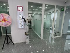 -爱洗澡的猫(望京店)
