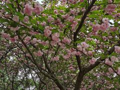 -白塘生态植物园