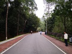 -火炉山森林公园