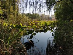 -溱湖国家湿地公园