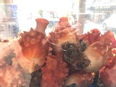-真情鲍鱼海鲜汤