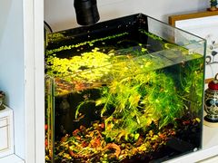 -瑞康宠物医院·犬猫牙科·异宠专科·转诊诊疗中心(劳卫路店)