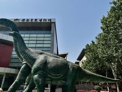 -河南自然博物馆