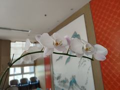 -南堂馆·新川菜(天府三街店)