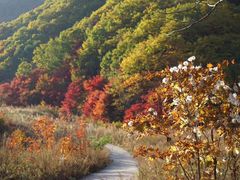 -丹东天桥沟景区
