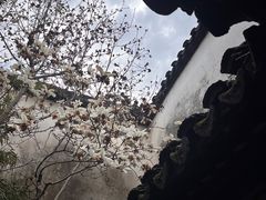 -苏州园林博物馆