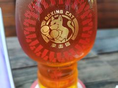 -Boxing Cat Brewery拳击猫精酿啤酒馆(永福店)