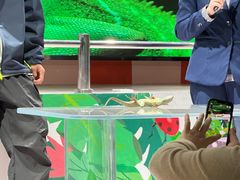 -上海大自然野生昆虫馆(东方明珠·爬宠昆虫探索中心)