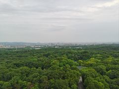 -灵谷景区