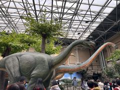 -国家自然博物馆