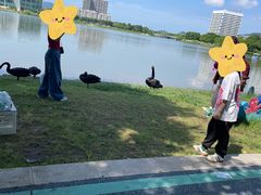 -琅岐红光湖公园