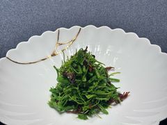 -子福慧(虹桥店)