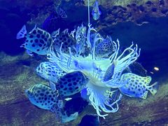 -珠海长隆海洋王国