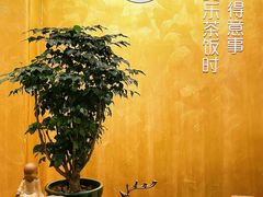 -安乐茶饭·手工素菜·高空景观餐厅(千灯湖店)