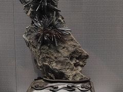 -湖南省地质博物馆