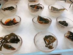 -半岛翡丽海鲜自助餐厅(观风亭店)