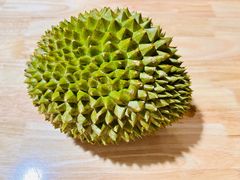 -油麻地果栏