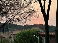 -仙岳公园