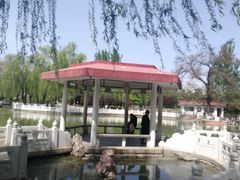 -丰台花园