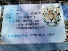 -昆明动物园