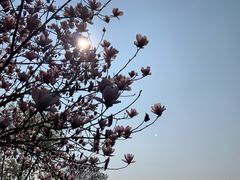 -重庆中央公园(渝北区)