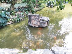 -云溪植物园