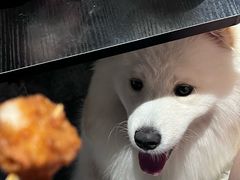 -剧狐剧本杀(徐汇1号店)