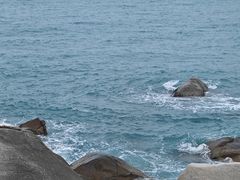 -广东惠东海龟国家级自然保护区