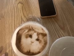 -楼上猫咖(罗湖店)