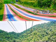 -南丹山森林王国
