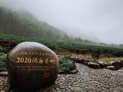 -中国茶叶博物馆(双峰馆区)
