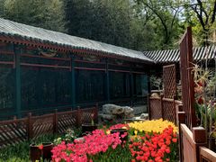 -宣武艺园