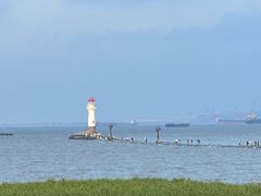 -上海吴淞炮台湾国家湿地公园