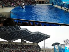 -上海海昌海洋公园