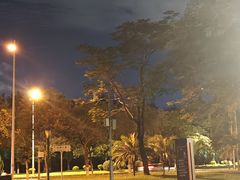 -深圳湾公园(南山区)