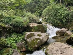 -青城山