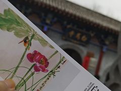 -洛阳白马寺