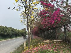-光明小镇欢乐田园