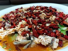 -青花椒花椒鱼(合生汇店)