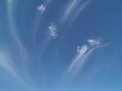 -灵山