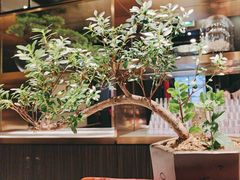 -海底捞火锅(高科广场店)
